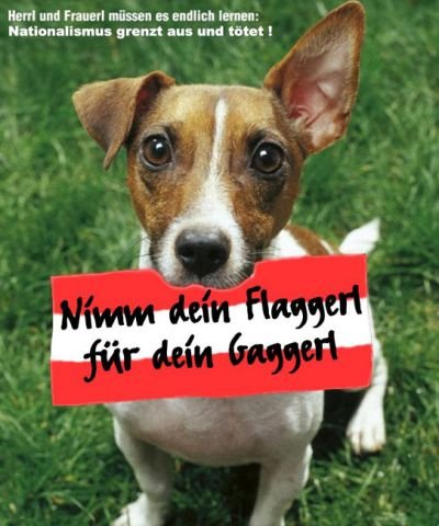 Nimm dein Flaggerl für dein Gaggerl