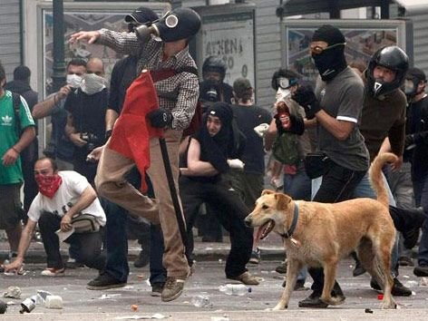 Riot Dog 2