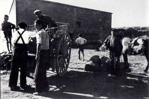 Spanischer Bürgerkrieg und anarchistische Revolution 1936-39 - Bild Agrarkollektiv 2