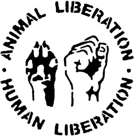 Stencil Animal Liberation - Human Liberation